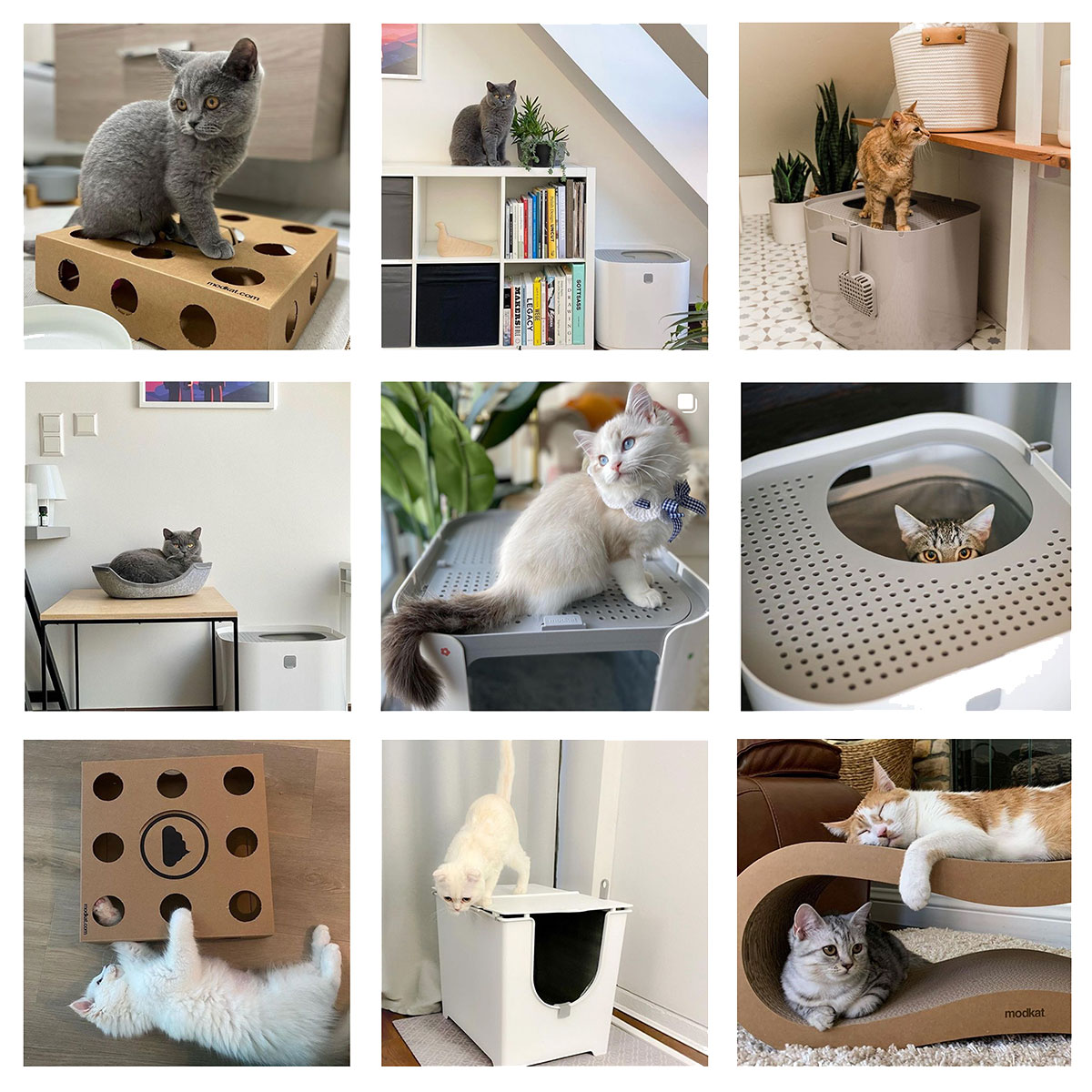 Modkat Litter Box Instagram