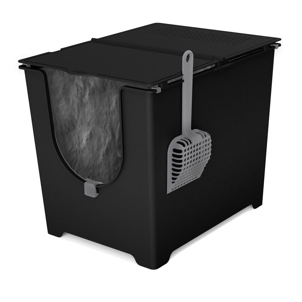 🖤🐈 Hug Your Cat Day! Modkat