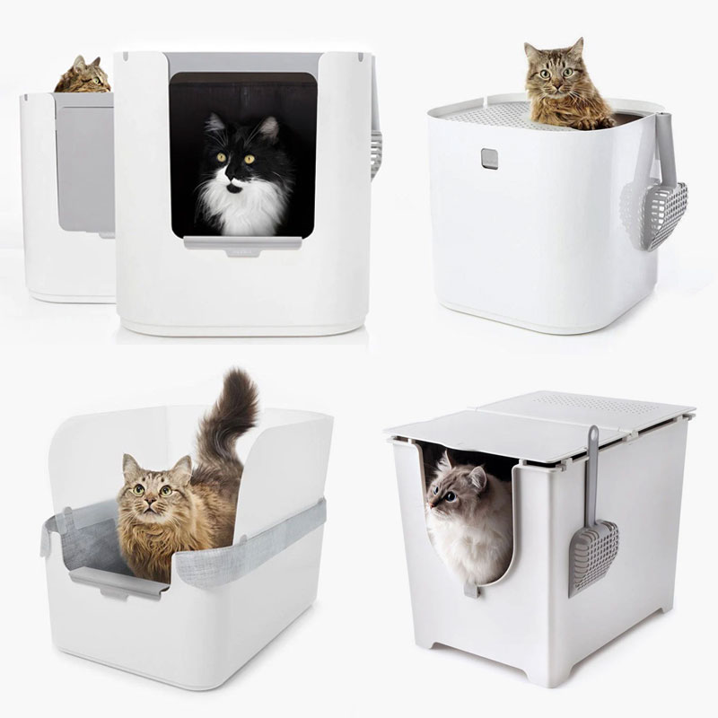 Modkat litter box canada sale